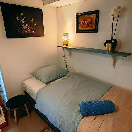 Magnolia With Free Parking Кошице